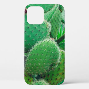 Kakteen, Kakteen, Kakteen, Kakteen, nahe Case-Mate iPhone Hülle