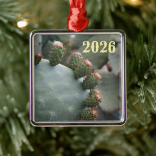Kakteen mit spitzen Birnen und Metallschieber Ornament Aus Metall