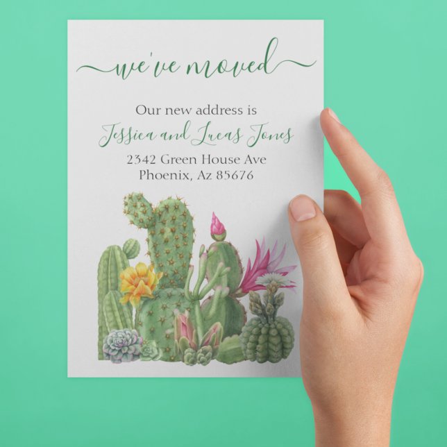 Kakteen sukkulent blühend ankündigung (Von Creator hochgeladen)