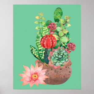 Kakteen, Sukkulente, Kakteen-Blume, Anordnung Poster