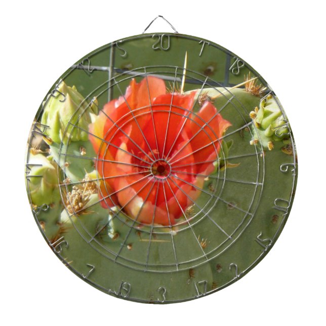 Kakteen Tough and Beautiful Dartboard Dartscheibe (vorne)
