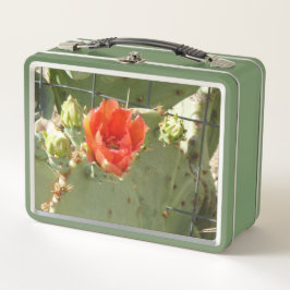Kakteen Tough and Beautiful Green Lunchbox