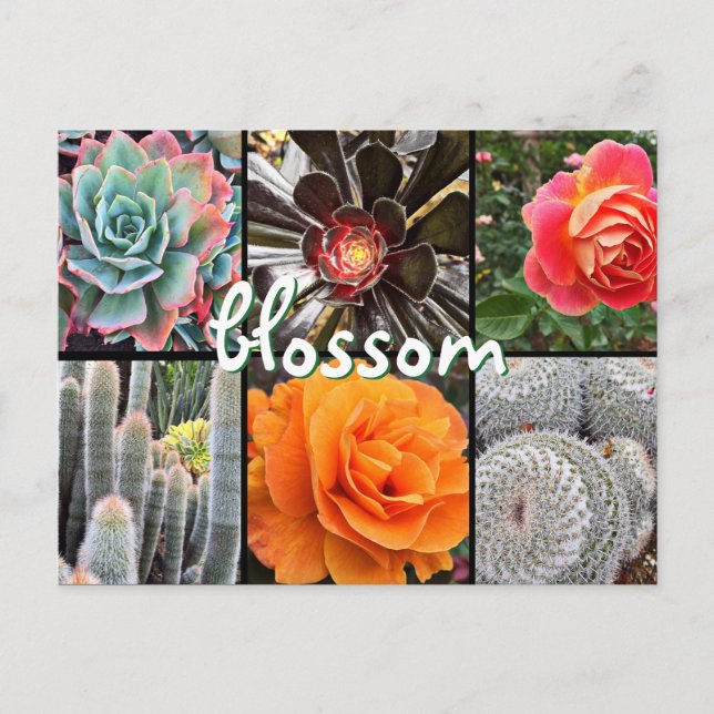 Kakteen und Rose Fotografie Collage Blosom Zitat Postkarte (Vorderseite)