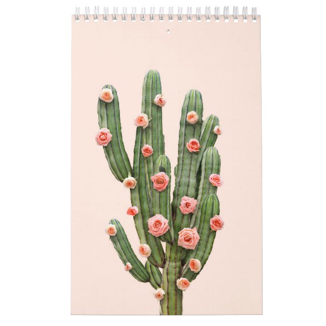 Kakteen und Rose Kalender (Titelbild)