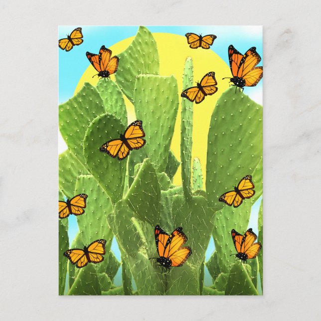 Kakteen und Schmetterlinge Postkarte (Vorderseite)