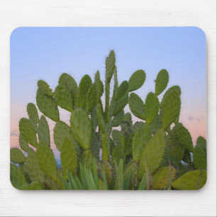 Kakteen und Sisal im Trockenwald Mousepad