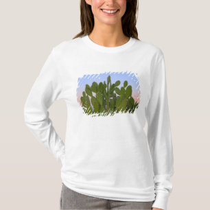 Kakteen und Sisal im Trockenwald T-Shirt