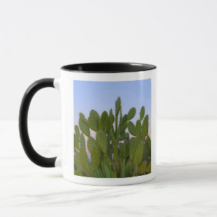 Kakteen und Sisal in Trockenwald Tasse