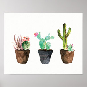 Kakteen und Sukkulentes Trio One Poster