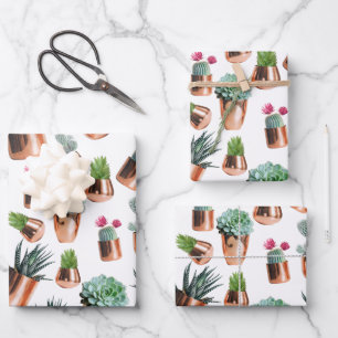 Kakteen und Sukkuline in Rose Geschenkpapier Set