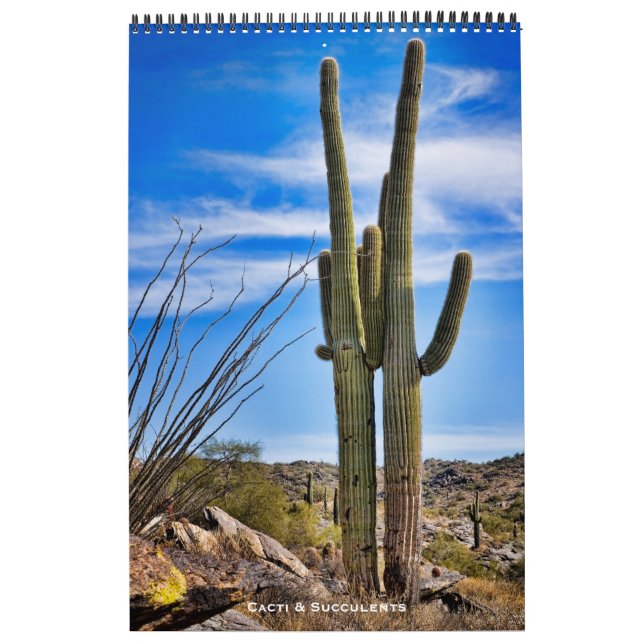 Kakteen und Sukkuline Kalender (Titelbild)