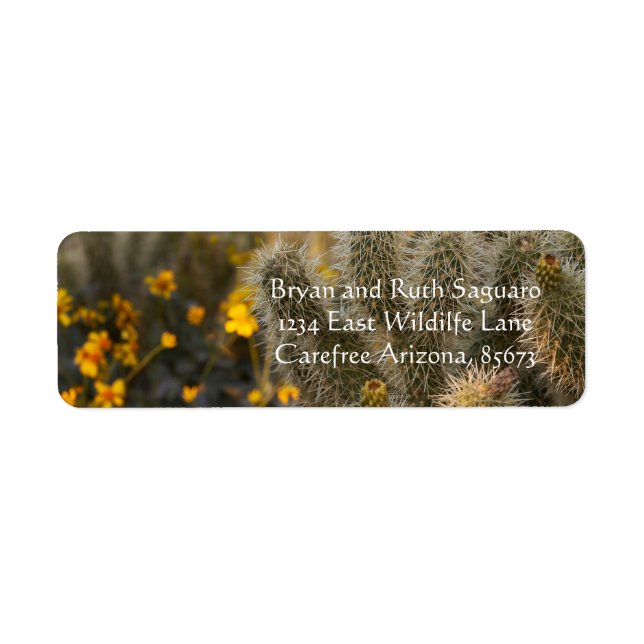 Kakteen und Wildblumen (Vorne)
