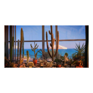 Kakteenpflanzen und Meer Poster