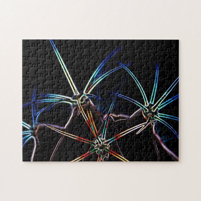 Kaktus 1 11x14 252pc jpcna (Horizontal)