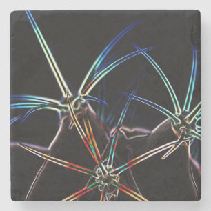 Kaktus 1 Küste Steinuntersetzer