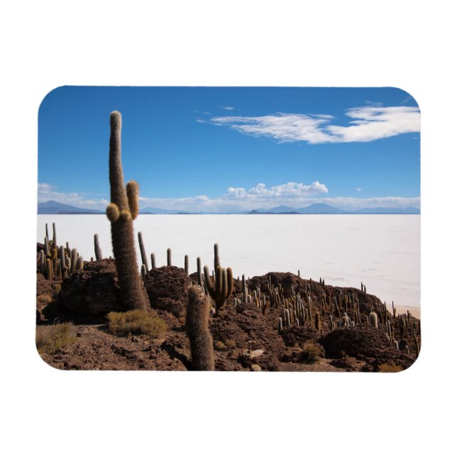 Kaktus am rechteckigen Magneten des Salar de Uyuni Magnet (Horizontal)
