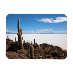 Kaktus am rechteckigen Magneten Salars de Uyuni Magnet