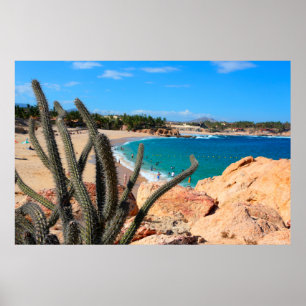 Kaktus auf der Felshütte über Sandy Beach Poster