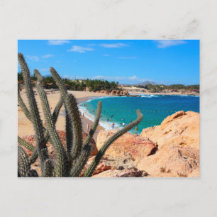 Kaktus auf der Felshütte über Sandy Beach Postkarte