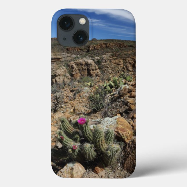 Kaktus blühen Case-Mate iPhone hülle (Rückseite)