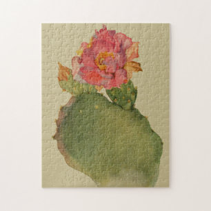 Kaktus-Blumen-Aquarell Margaret Armstrong Floral