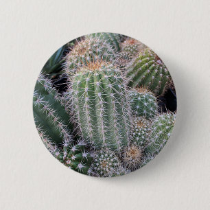 Kaktus Button