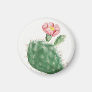 Kaktus Cochenillifer, alte Illustration, 1799 Magnet