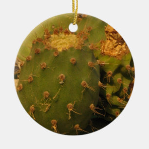 Kaktus-Detail-Fotografie-Kreis-Ornament Keramikornament