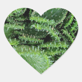 Kaktus Herz-Aufkleber