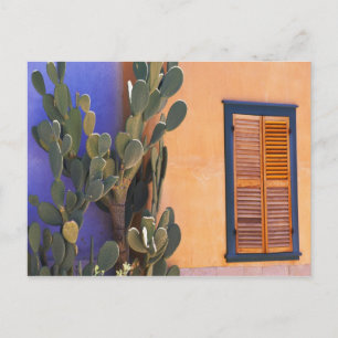 Kaktus im Südwesten (Opuntia-Dejekta) und Postkarte