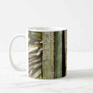 Kaktus Kaffeetasse