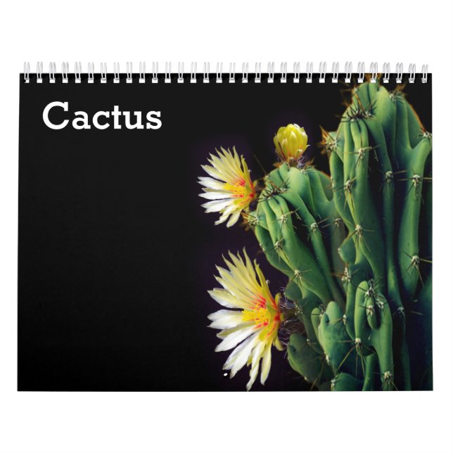 Kaktus-Kalender 2025 Kalender (Titelbild)