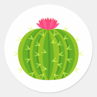 Kaktus mit Blume-Aufkleber Runder Aufkleber