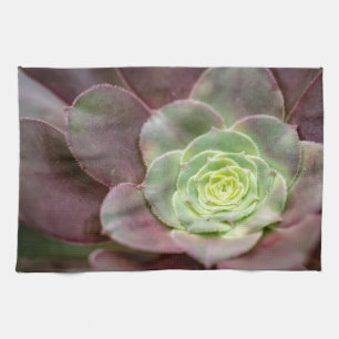 Kaktus Print Eine Wüstenkaktus-Blume Geschirrtuch