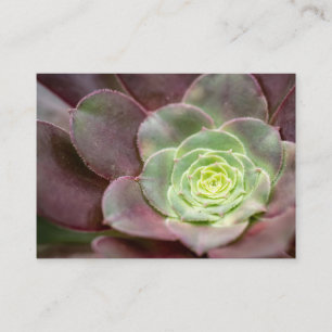 Kaktus Print Eine Wüstenkaktus-Blume Visitenkarte