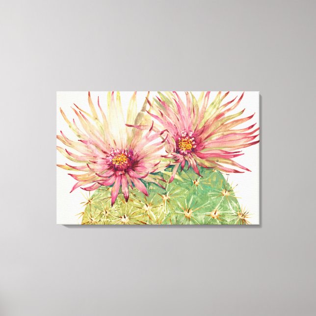 Kaktus Rosa Blüten Leinwanddruck (Vorderseite)