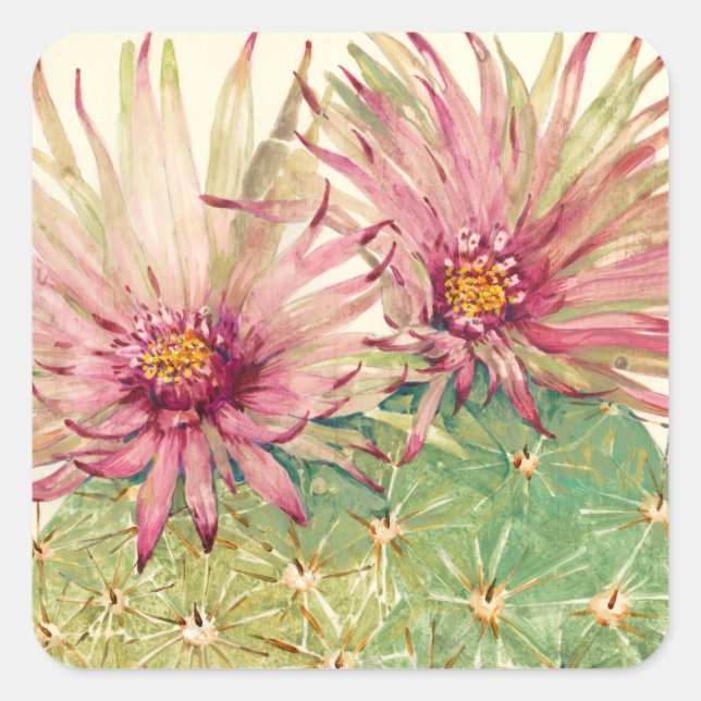 Kaktus Rosa Blüten Quadratischer Aufkleber (Vorderseite)