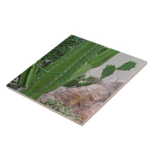 Kaktus schaukelt Kaktus-Südwestlandschaft Fliese