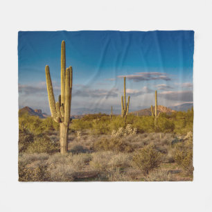 Kaktus-Sonnenuntergang in Arizona Fleecedecke