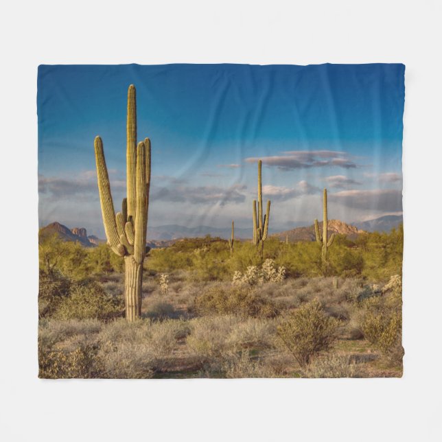 Kaktus-Sonnenuntergang in Arizona Fleecedecke (Vorderseite (Horizontal))