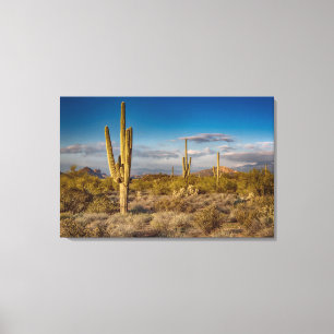 Kaktus-Sonnenuntergang in Arizona Leinwanddruck