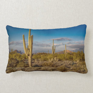 Kaktus-Sonnenuntergang in Arizona Lendenkissen