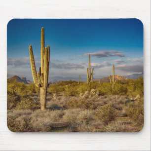 Kaktus-Sonnenuntergang in Arizona Mousepad