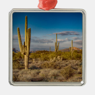 Kaktus-Sonnenuntergang in Arizona Ornament Aus Metall