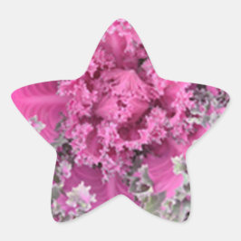 Kaktus Stern-Aufkleber