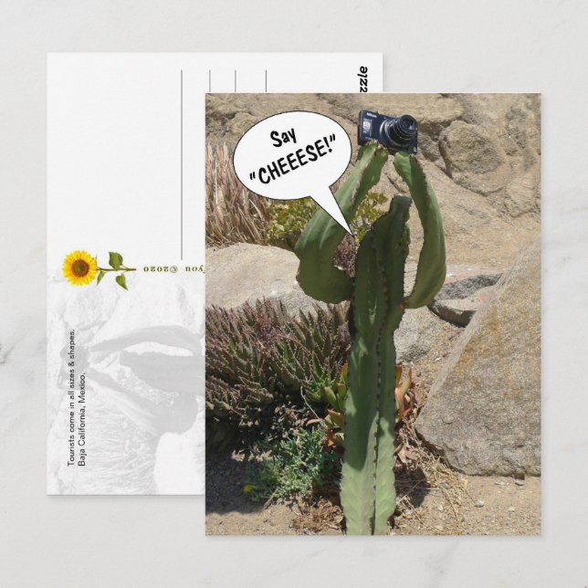 Kaktus Tourist, sagen Sie CHEEESE - Postkarte (Vorne/Hinten)
