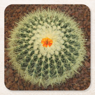 Kaktus und Blume Rechteckiger Pappuntersetzer