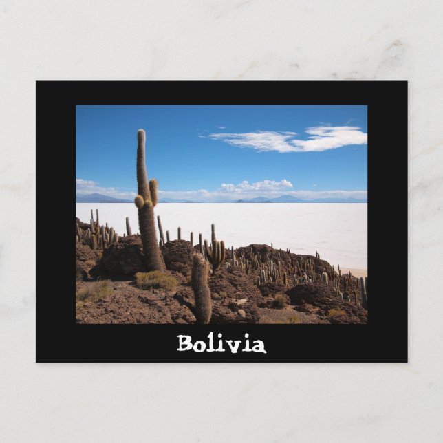 Kaktus und Salar de Uyuni-Textpostkarte Postkarte (Vorderseite)