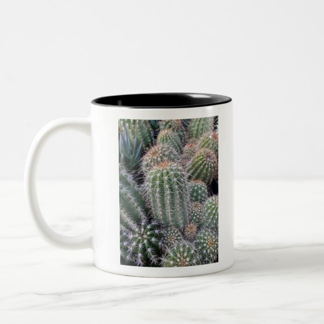 Kaktus Zweifarbige Tasse (Links)