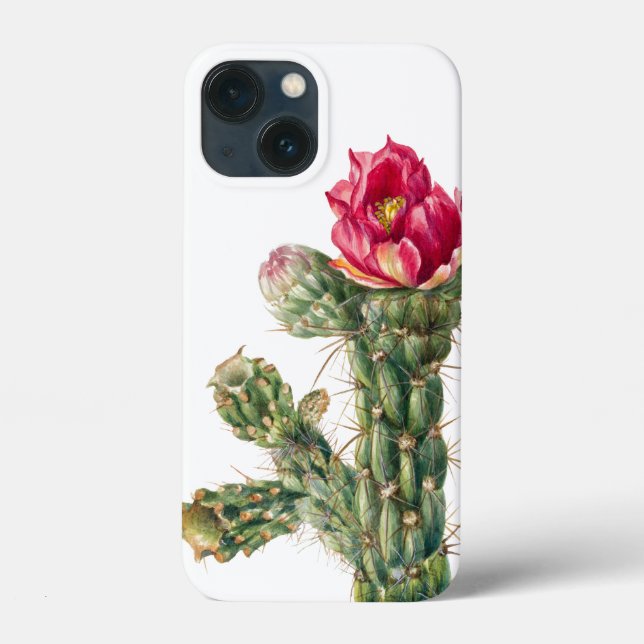 Kaktusblüte Case-Mate iPhone Hülle (Rückseite)